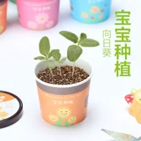 Творческий микроалландский мини -тис