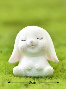 微景观摆件可爱卡通小兔子摆件胡萝卜兔房子萌兔园艺植物树脂配件