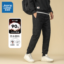 Real Wisty Down Pants Mens Winter Plus Suede Thickened Sports Pants Straight Barrel Casual Buns Long Pants 2024 New