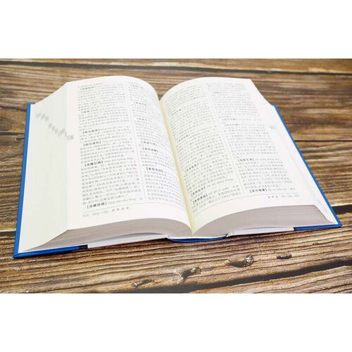 中国成语大辞典 辞海版新一版精装版 中国成语词典 中 小学生适用 汉语词典书籍 王涛 汉语工具书大系 中国文学鉴赏辞典书上海辞书 - 图1
