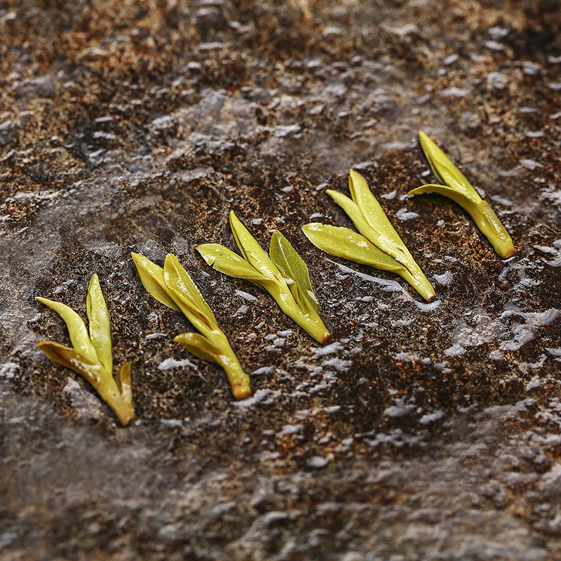 张一元茶叶2024年春茶新绿茶（明前特级）龙井茶纸包茶送礼250g - 图2