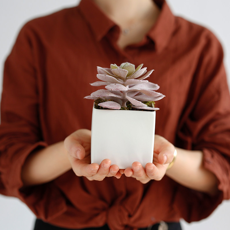 ladylike仿真绿植 多肉植物组合盆栽陶瓷花盆 室内假花装饰摆件,淘宝优惠券,粉丝福利购,淘宝优惠卷