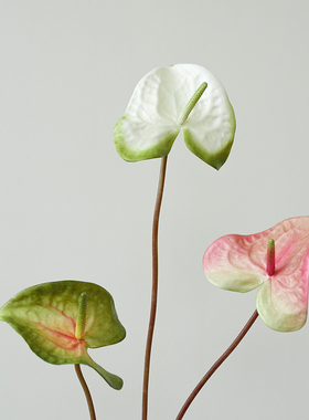 ladylike仿真花白掌粉掌花烛