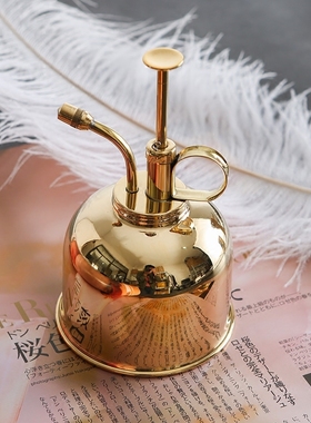 北欧风黄铜浇花家用小型水壶