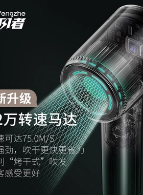 追风者大功率速干护发电吹风