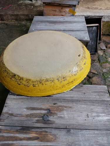 中蜂蜡诱蜂蜡诱蜂桶引蜂桶引蜂蜡诱蜂水有盖子的诱蜂桶 - 图0
