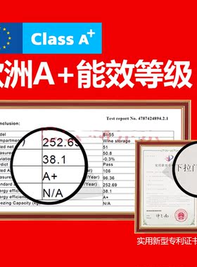 外贸型橱柜嵌入式酒柜 压缩机恒温恒湿 红酒柜冷藏酒柜欧洲A+能效