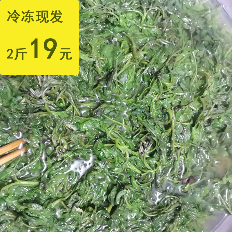 速冻艾草冷冻艾叶现发新鲜现摘嫩叶野生艾草艾叶青团草艾米果商用-图0