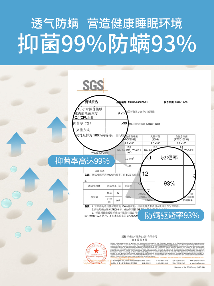 睡眠博士泰国进口天然乳胶枕头成人颈椎保健按摩护颈枕芯 打鼾枕 - 图2