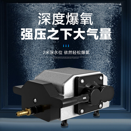 蓝宝大型鱼缸增氧泵鱼池卖鱼档养鱼充氧打氧12伏24v220冲氧气泵机 - 图0
