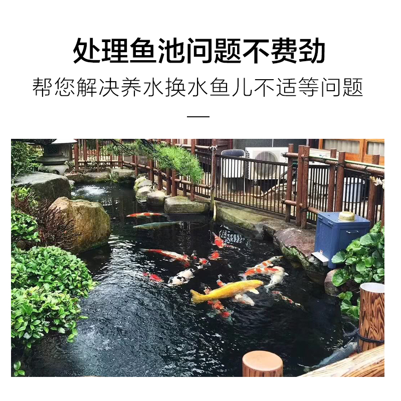 德邦鱼池硝化细菌水族综合剂净水剂水质清澈除藻剂锦鲤池塘非鱼药 - 图1