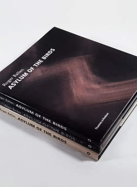 现代简约真书摆件仿真书本装饰品拍照道具书柜书房样板间桌面摆设