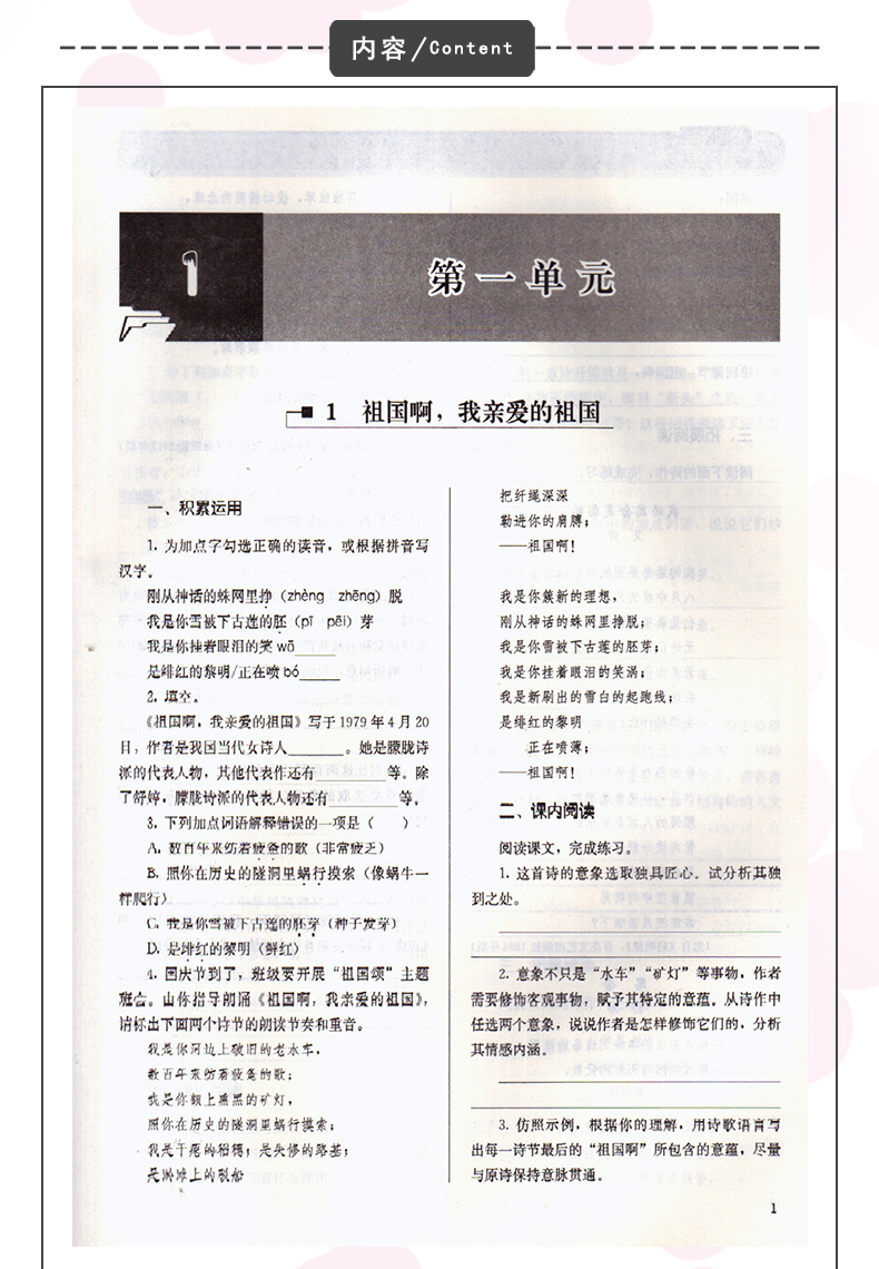 【江苏省使用】人教版初中补充习题语文九年级下册人民教育出版社语文练习册9年级下册九下 9下语文补充习题 9下-图2