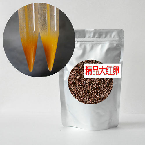 扬扬水族丰年虾虫卵 可孵化率95%精品大红卵孔雀七彩鱼苗开口饲料 - 图2