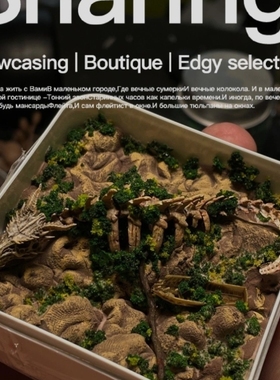 恐龙骨架化石微缩景观精美礼品送人生日雨林苔藓无菌保暖