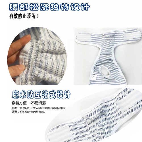 Биологические брюки, сука, собаки и собаки, менструальные штаны Copybi Bear Teddy Anty -Harassing Ganitgible Starns Heathable Free Dropping