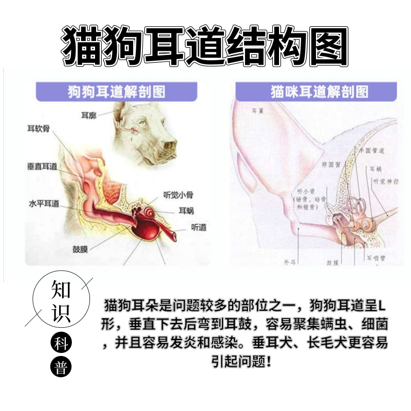 猫咪硼酸冰片滴液狗狗除异味耳臭耳螨清洁宠物耳痒用品冰皮滴耳液 - 图1