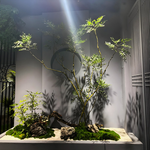 仿真绿植造景十大功劳室内景观假树仿真树南天竹酒店造景落地摆件 - 图1