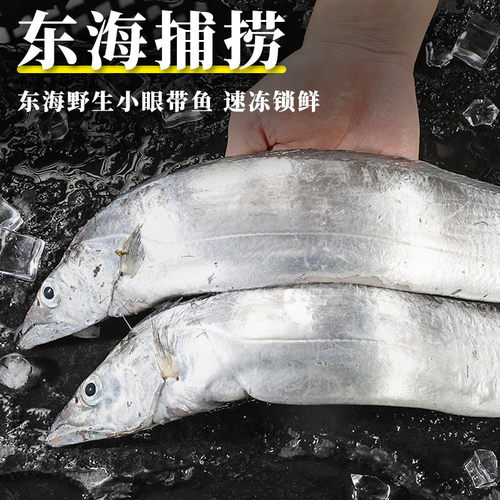 4斤舟山东海特大级带鱼小眼睛整条新鲜冷冻鲜活海鲜水产深海刀鱼 - 图0