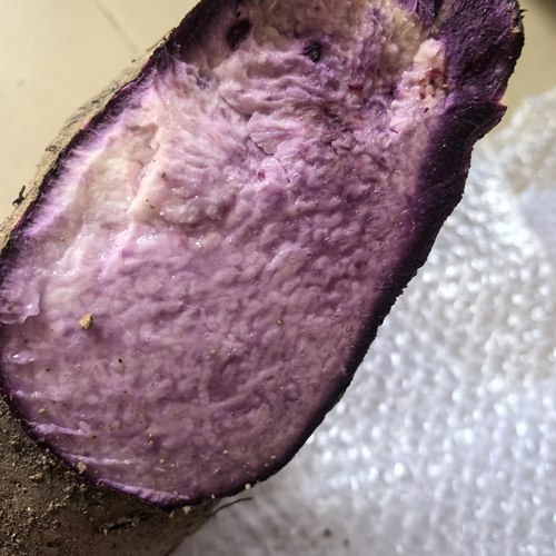 新鲜紫大薯紫山药紫人参紫淮山脚板薯血薯红大薯半紫薯农家土特产 - 图2
