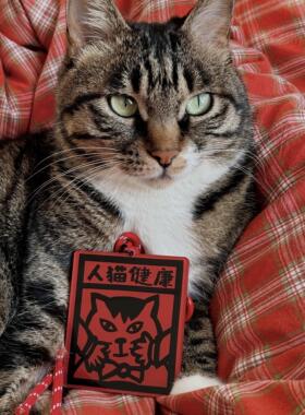 原创猫猫神包挂件礼物宠物周边