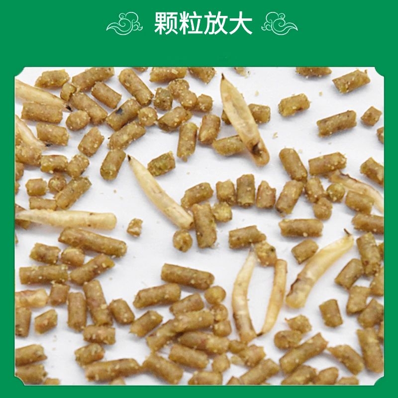 淘气宝贝精品画眉鸟食提性壮膘食百灵鸟食四喜鸟粮饲料乌鸫换毛料 - 图2