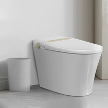 (showroom with the same section) Morne Smart-One toilet toilet SW1562