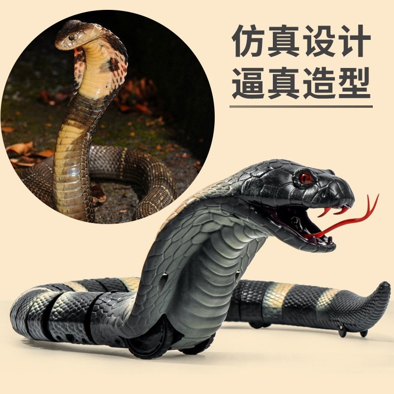 爆款 新奇特仿真遥控动物 红外线整蛊遥控蛇遥控蜘蛛玩具,淘宝优惠券,粉丝福利购,淘宝优惠卷