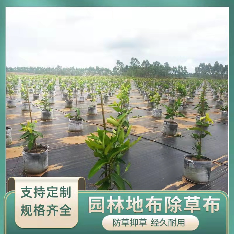 防草布抗老化园艺地布果园果树遮草盖草布大棚加厚农用除草布包邮 - 图1