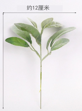 仿真植绒羊耳叶兔耳叶桉树叶