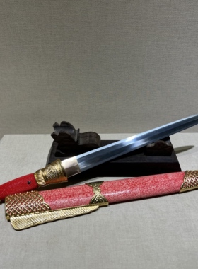 龙泉龙影刀剑鱼肠剑手工未开刃