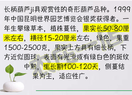 长柄葫芦种子籽种高约80cm观赏爬藤特大巨型超大盆栽种籽种孑籽 - 图0