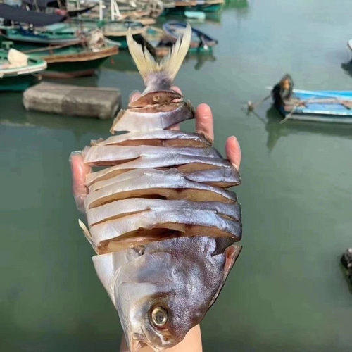 淡晒金鲳鱼鱼干海鲜干货阳江特产水产金昌鱼深海金仓鱼顺丰包邮 - 图1