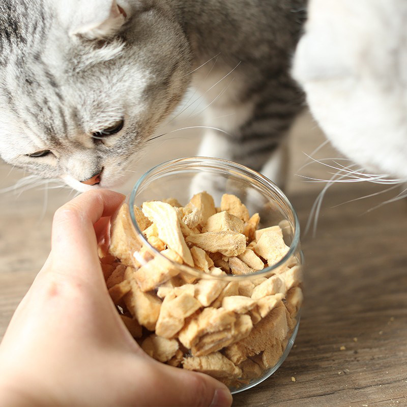 逗哒乐 喵达猫冻干零食鸡胸肉袋装三文鱼幼猫鸭肉高蛋白增肥发腮,淘宝优惠券,粉丝福利购,淘宝优惠卷