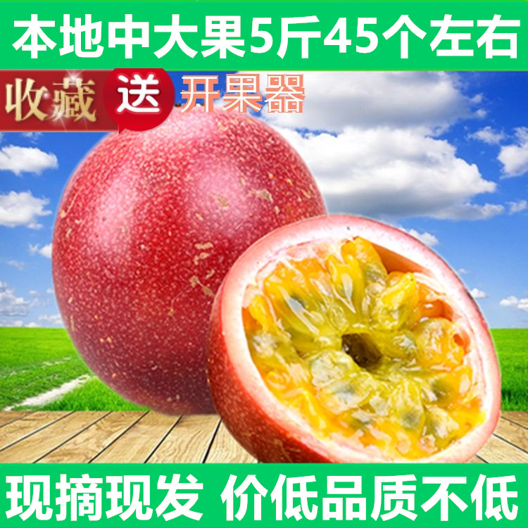 广西新鲜中大果现摘包邮百香果图片_1