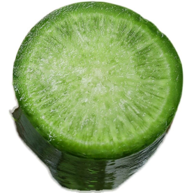 生吃水果萝卜种子 里外青萝卜沙窝萝卜口感脆甜水多农家蔬菜种子,淘宝优惠券,粉丝福利购,淘宝优惠卷