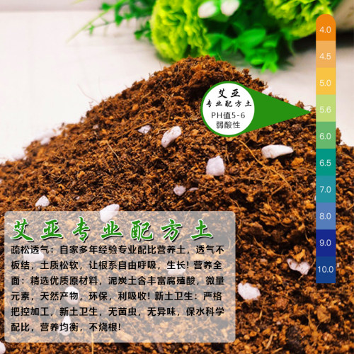 龟背竹专用土大型绿植盆栽花卉培养土弱酸性花泥通用型营养土特惠 - 图0