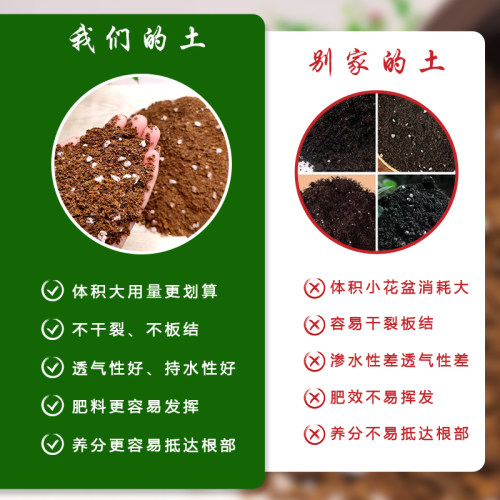 龟背竹专用土大型绿植盆栽花卉培养土弱酸性花泥通用型营养土特惠 - 图1