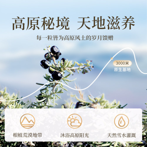 百瑞源枸杞丨青海甄选黑枸杞子礼盒86g 宁夏正宗官方旗舰店送礼 - 图1