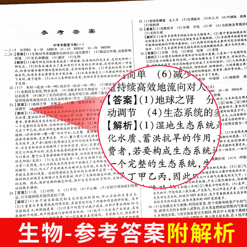 2024年初二生物地理中考总复习资料生地会考真题试卷八年级下册生物地理知识点大全初中会考真题分类模拟试卷全套专项人教版课本8-图2