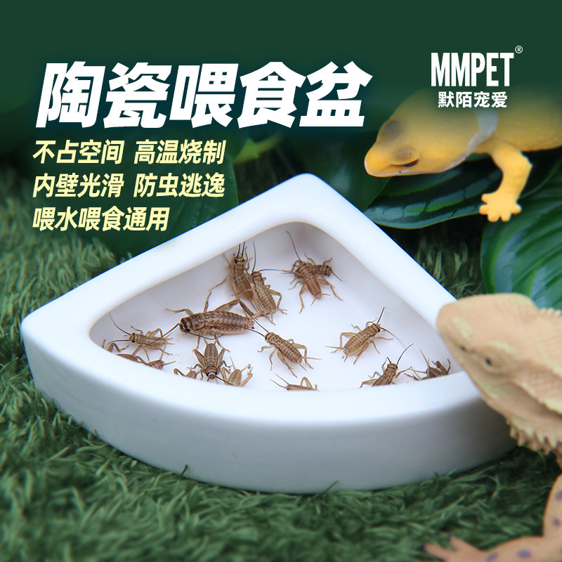 爬宠陶瓷喂水盆食盆防虫逃逸喂食睫角守宫鬃狮蜥蜴乌龟树蛙泡澡盆,淘宝优惠券,粉丝福利购,淘宝优惠卷
