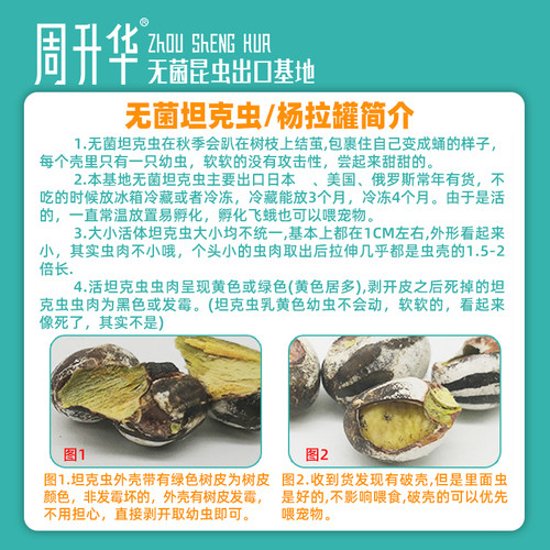 无菌坦克虫昆虫养殖活虫杨拉罐蜜袋鼯小仓鼠刺猬守宫乌龟角蛙食物 - 图1