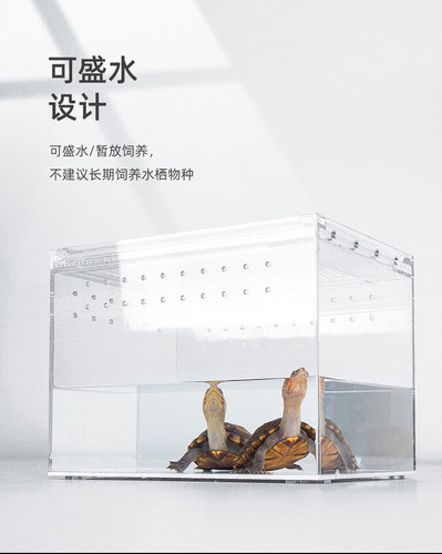 爬宠饲养盒树蛙蛇乌龟螳螂睫角守宫角蛙鬃狮蛛大中小迷你号养殖箱 - 图2