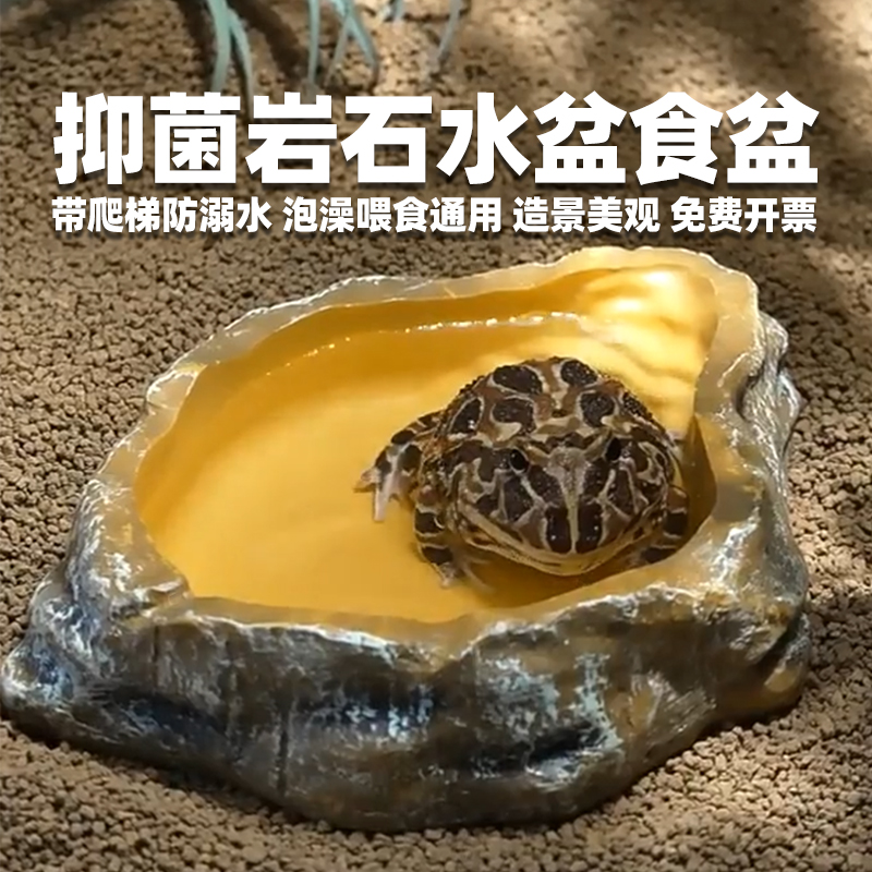 默陌宠爱爬虫防逃逸食盆爬宠蜥蜴守宫鬃狮面包大麦虫无菌岩石水盆 - 图1