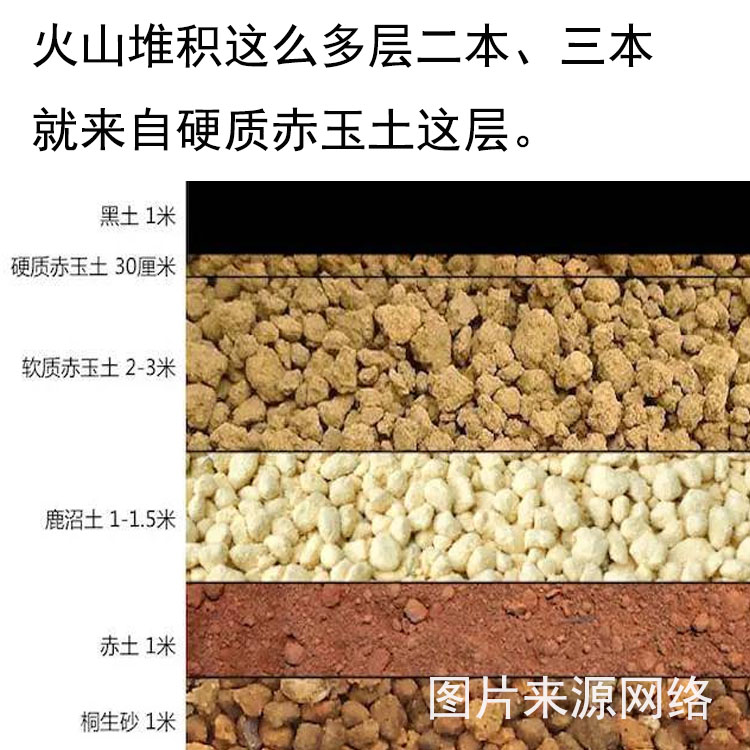 日本进口硬质赤玉土多肉营养土盆景专用爬宠铺面纯赤玉土大包装 爱美园艺 淘优券