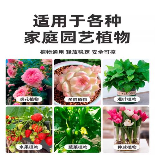 稻壳炭 砻糠灰多肉改善土壤有机草木灰珍珠岩蛭石促销 - 图2