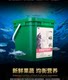 5kg 10kg barreled British shorthair aged cat with free shipping