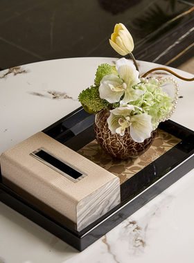 客厅茶几收纳托盘纸巾盒摆件高级