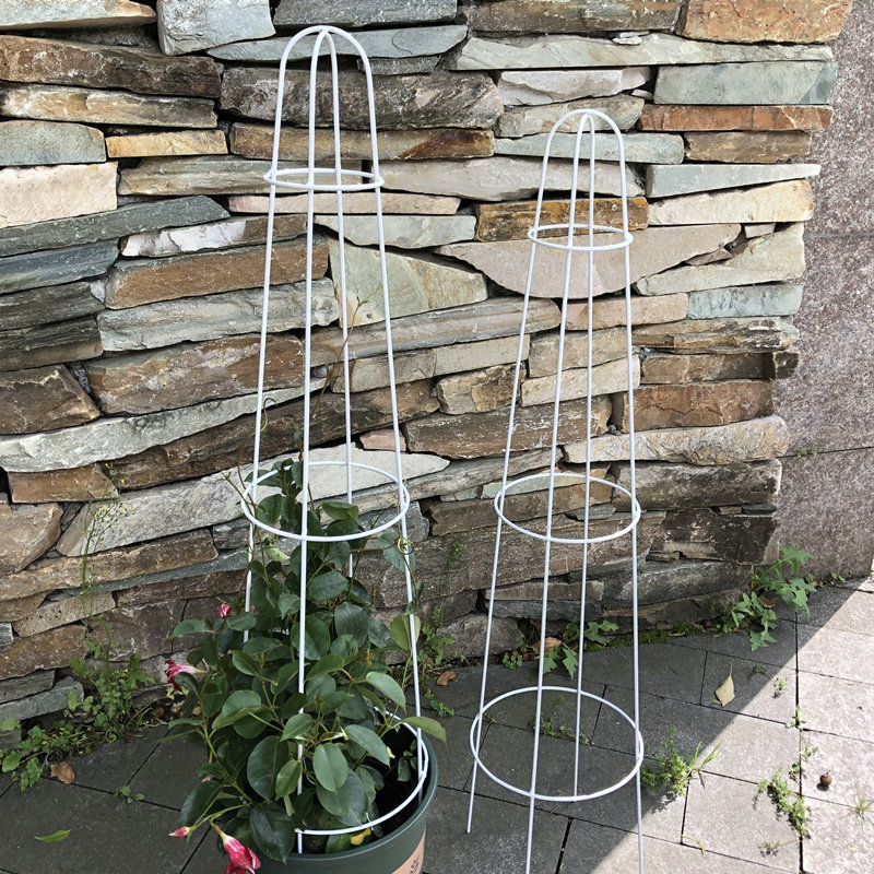铁艺三环花园球兰月季花架铁线莲爬藤架支架杆攀藤植物花艺架子_虎窝淘