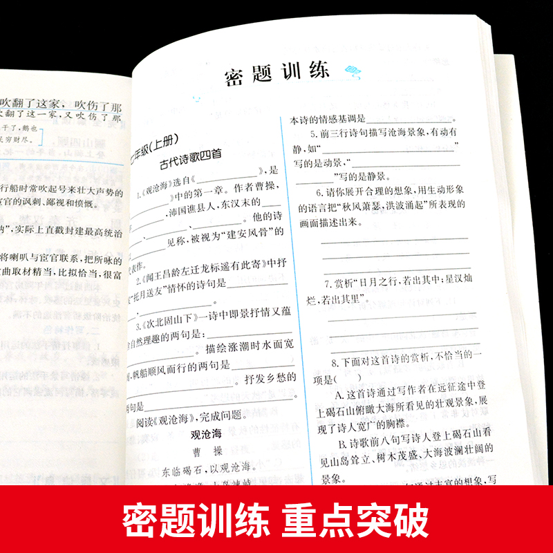 2021文言文完全解读古汉语初中语文文言文阅读理解专项训练字词典万唯中考语文试题研究七八九年级万维虚词-图2